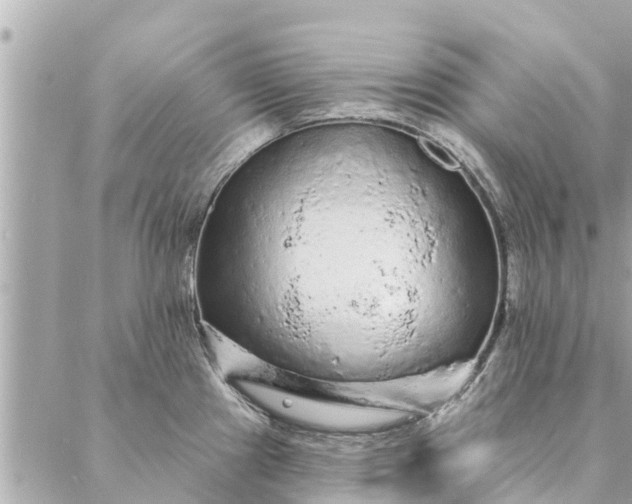 X0000087381241200705041937