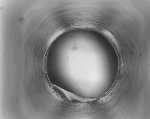 X0000087381242200705041937