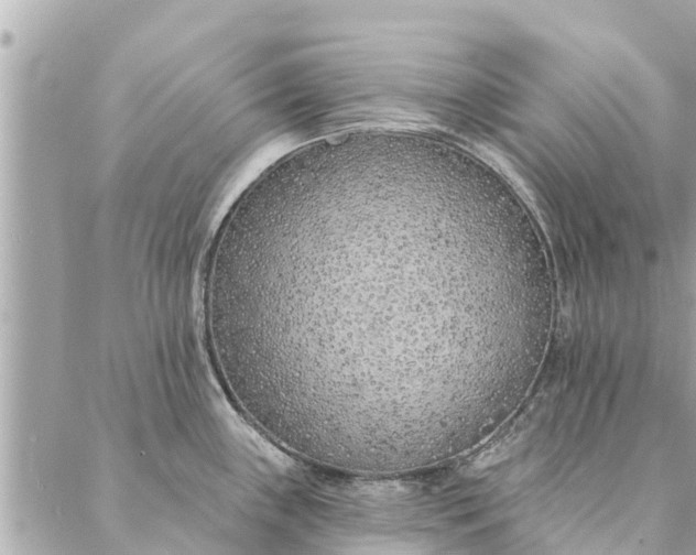 X0000087381243200705041937