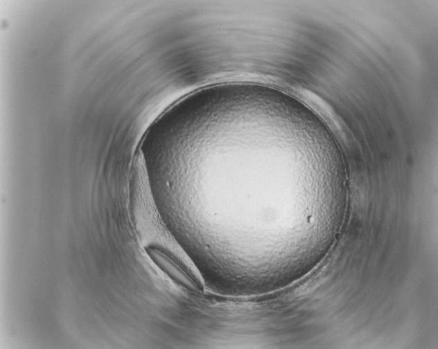 X0000087381244200705041937