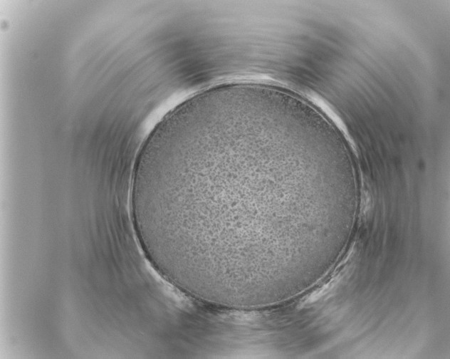 X0000087381245200705041937