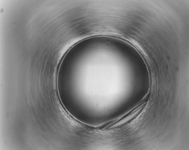 X0000087381246200705041937