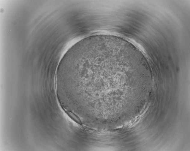 X0000087381247200705041937