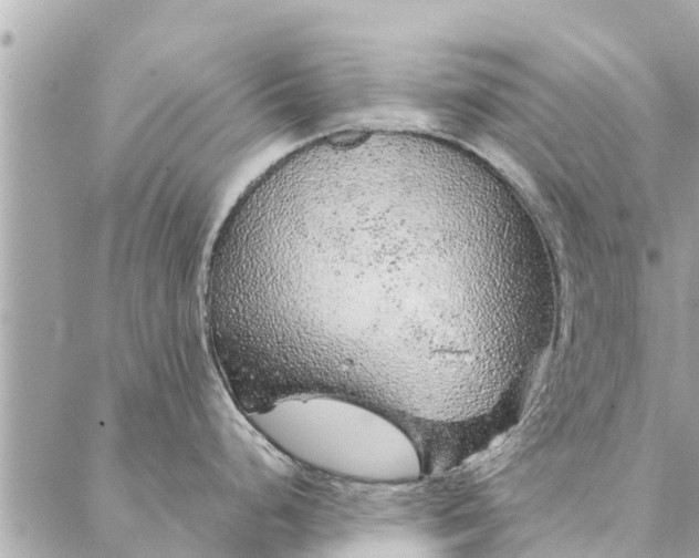 X0000087381248200705041937