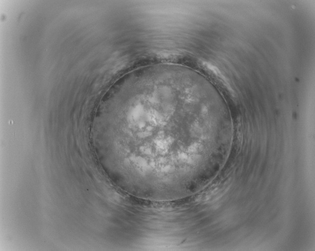 X0000087381249200705041936