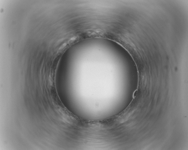 X0000087381250200705041936