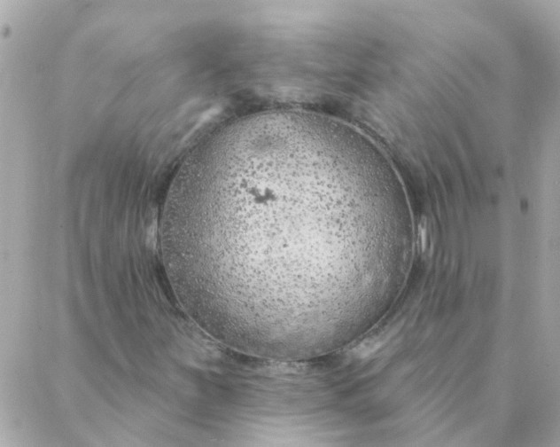 X0000087381251200705041936