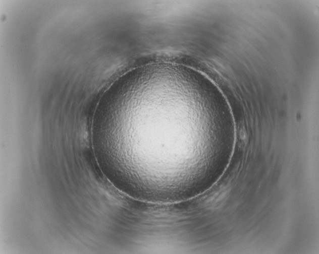 X0000087381252200705041936