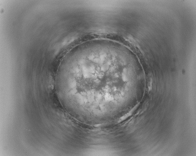 X0000087381253200705041936