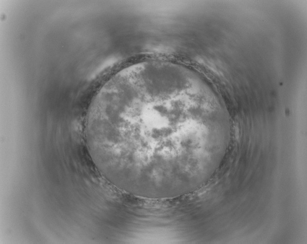 X0000087381254200705041936