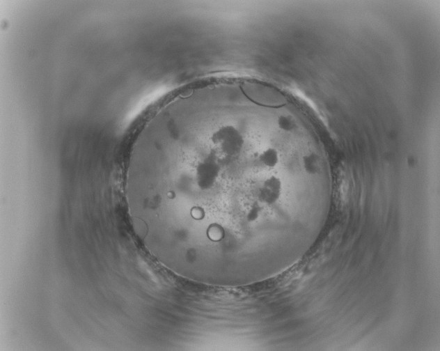 X0000087381255200705041936