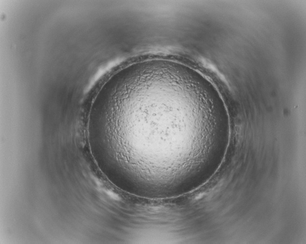 X0000087381256200705041936