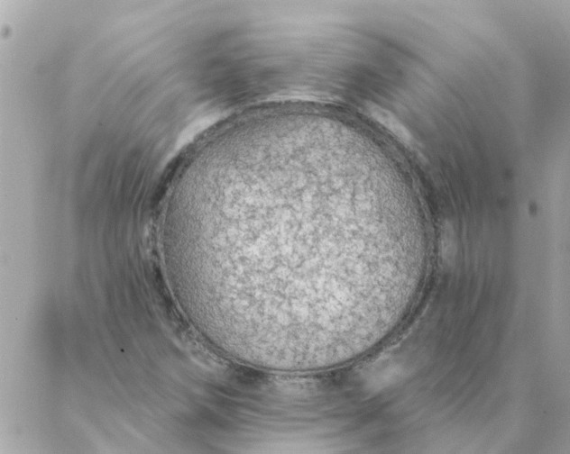 X0000087381258200705041936