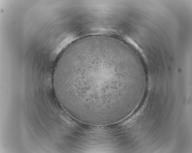 X0000087381259200705041936