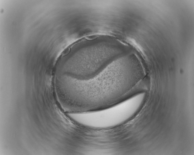 X0000087381260200705041936