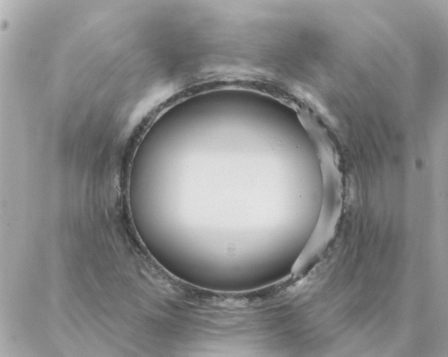 X0000087381261200705041936