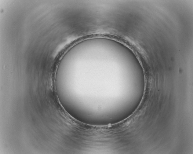 X0000087381262200705041936