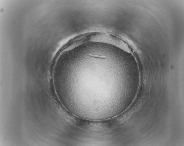 X0000087381264200705041936