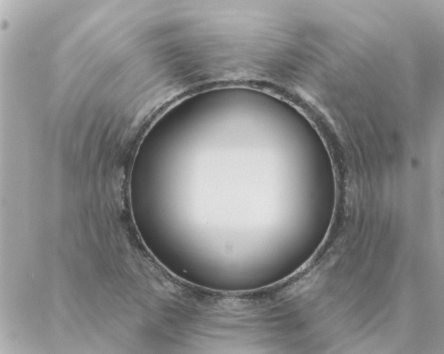 X0000087381265200705041936