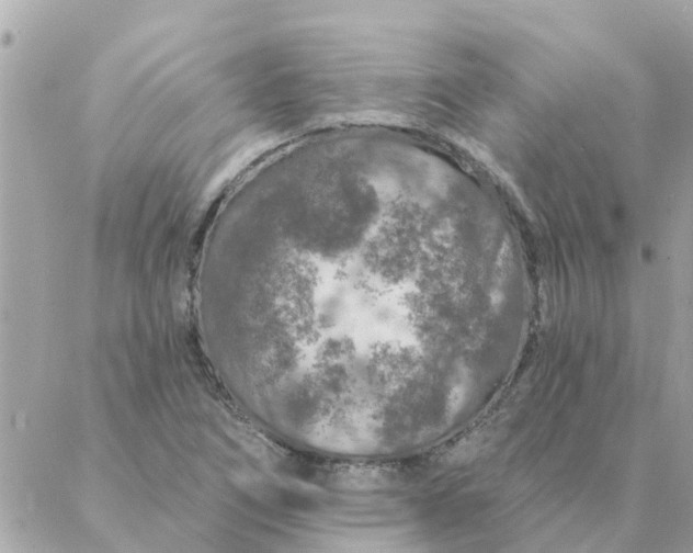 X0000087381266200705041936