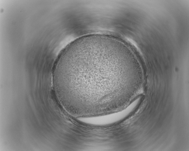 X0000087381267200705041936