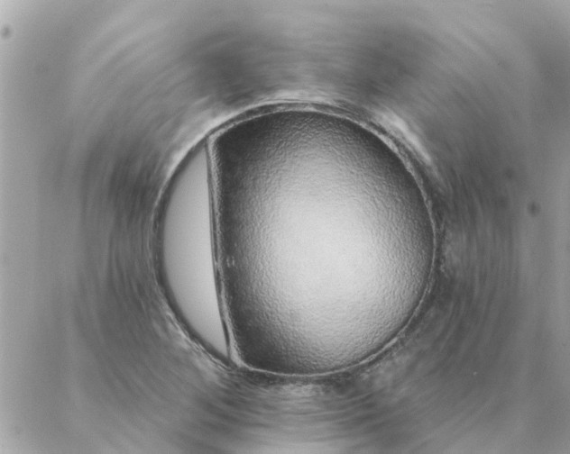 X0000087381268200705041936