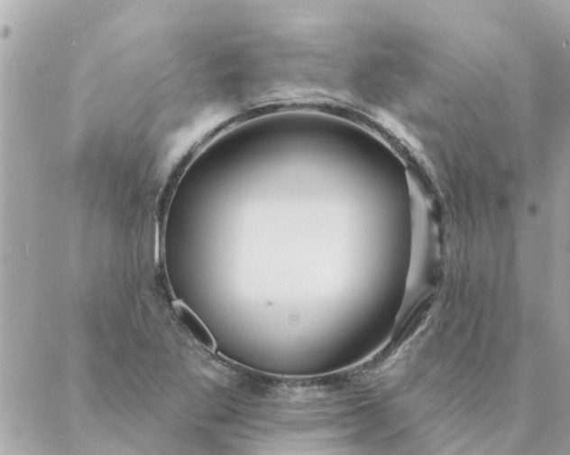 X0000087381269200705041936