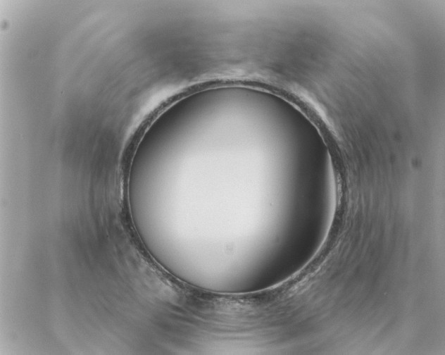 X0000087381270200705041936