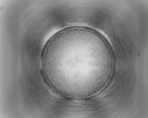 X0000087381271200705041936