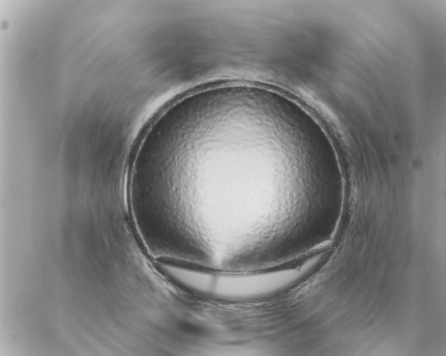 X0000087381272200705041936