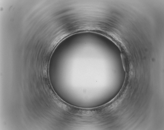 X0000087381273200705041936