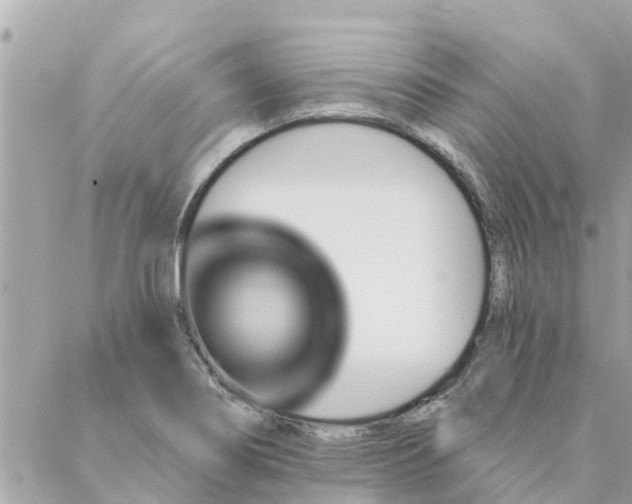 X0000087381274200705041936