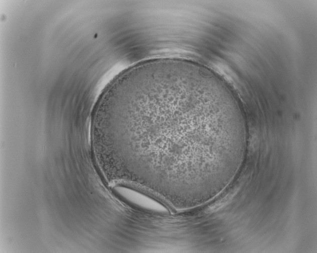 X0000087381275200705041936