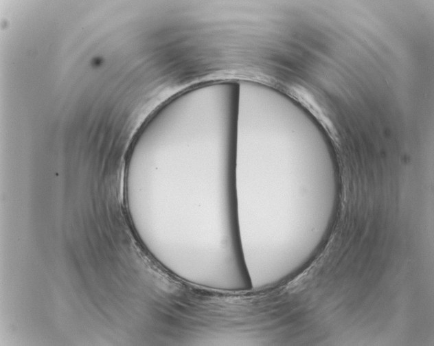 X0000087381276200705041936