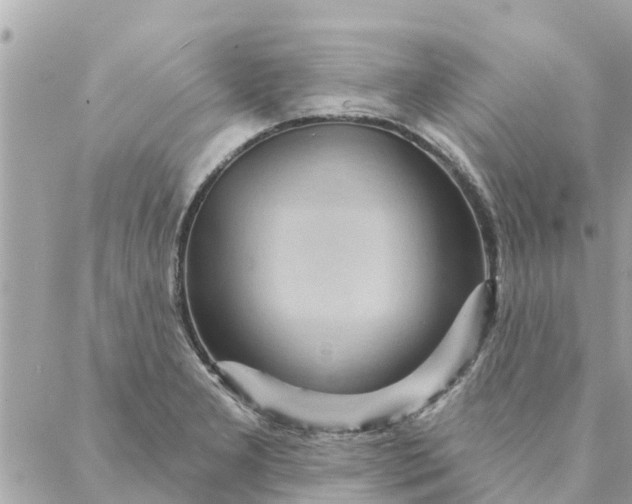 X0000087381277200705041936