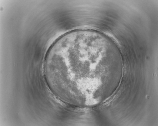 X0000087381278200705041936