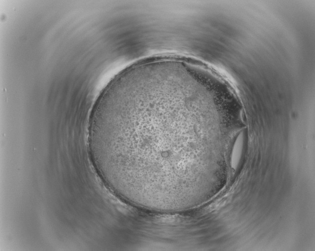 X0000087381279200705041936