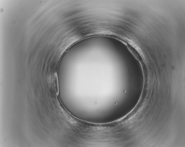 X0000087381281200705041936