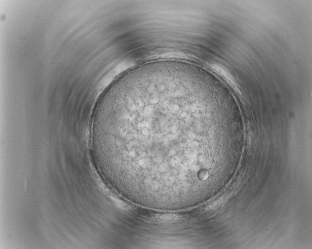 X0000087381282200705041936