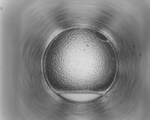 X0000087381283200705041936