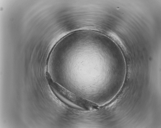 X0000087381284200705041936