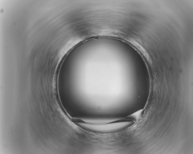 X0000087381285200705041936