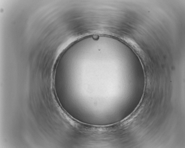 X0000087381286200705041936