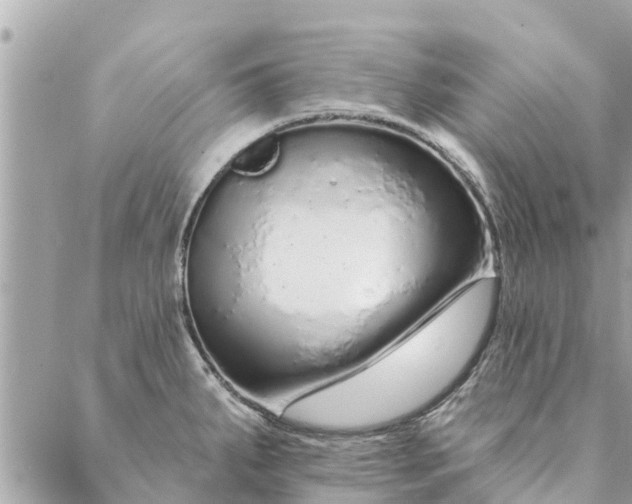 X0000087381287200705041936