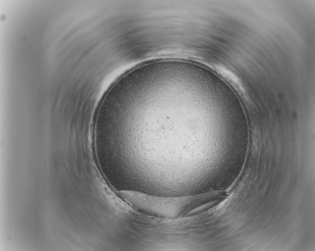 X0000087381288200705041936