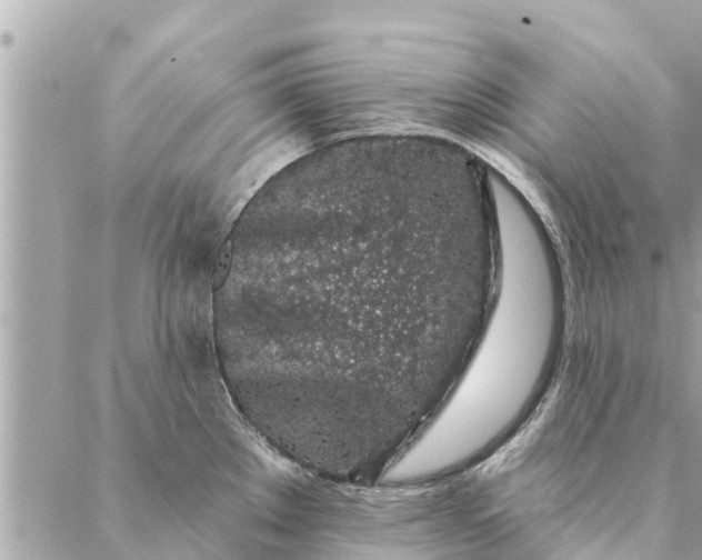 X0000087381289200705041936