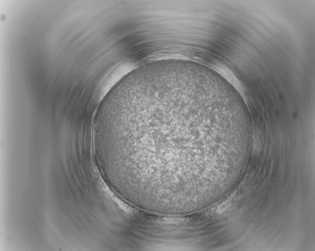 X0000087381290200705041936