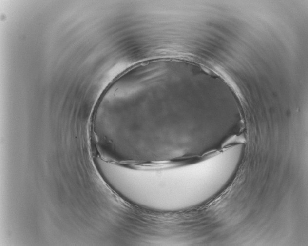 X0000087381291200705041936