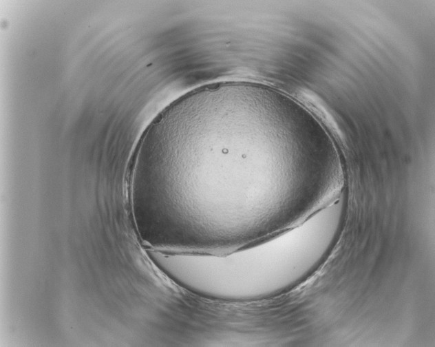 X0000087381292200705041936