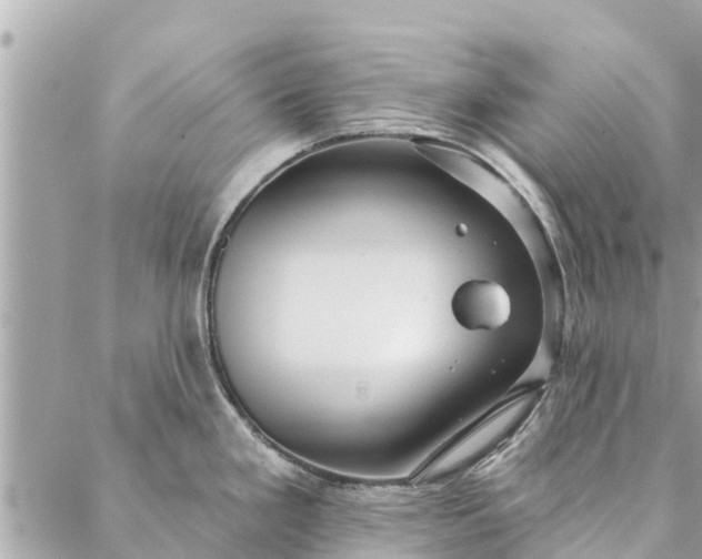 X0000087381293200705041936